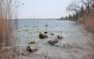 Internationales Dating 3